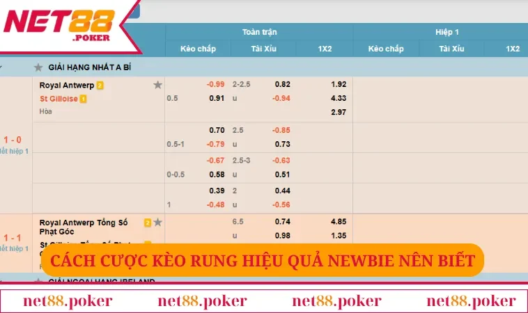 Cách cược kèo rung hiệu quả newbie nên biết