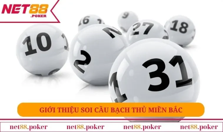 Giới thiệu soi cầu bạch thủ miền bắc