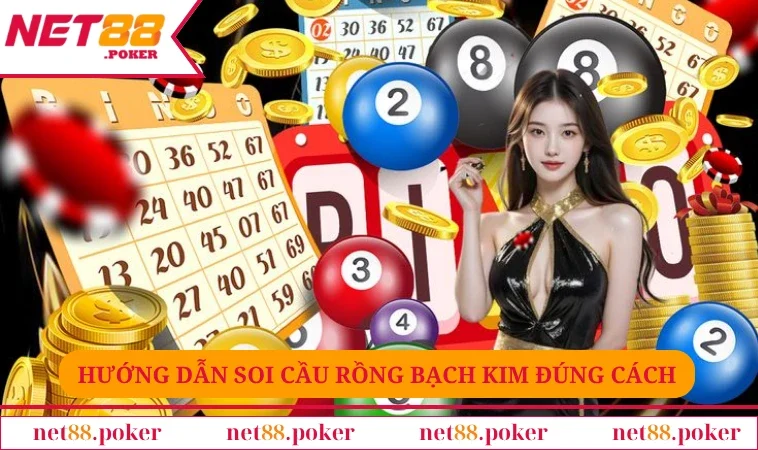 Hướng dẫn soi cầu rồng bạch kim đúng cách