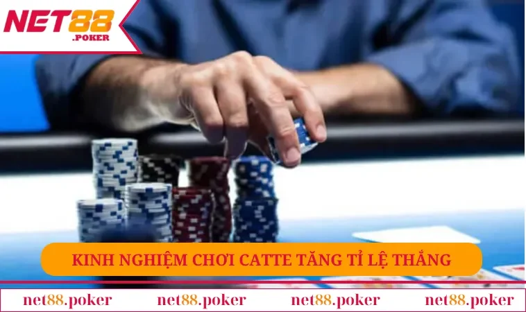 Kinh nghiệm chơi catte tăng tỉ lệ thắng