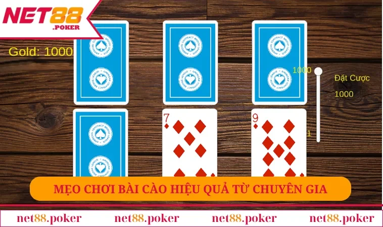 Mẹo chơi bài cào hiệu quả từ chuyên gia