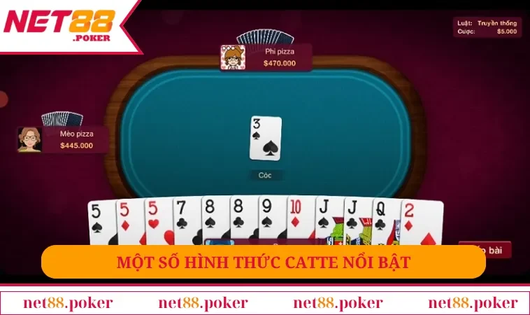 Một số hình thức Catte nổi bật