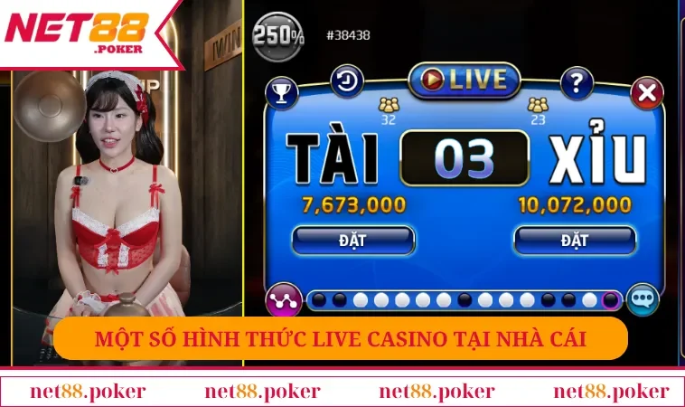 Một số hình thức live casino tại nhà cái