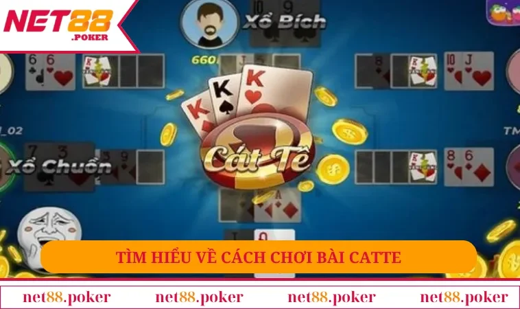 Tìm hiểu về cách chơi bài Catte