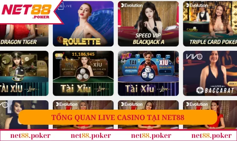 Tổng quan live casino tại NET88